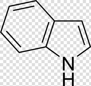 Indole Structure   Dibenzofuran  HD Png Download