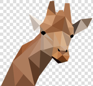 Giraffe  Low Poly  Animals  Close Up  Background   Poly Animals Transparent Background  HD Png Download