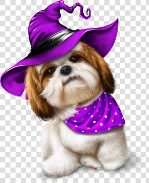 Transparent Cute Halloween Cat Clipart   Shih Tzu Halloween Png  Png Download