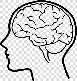 Human Brain Clip Art   Easy Drawing Of A Brain  HD Png Download