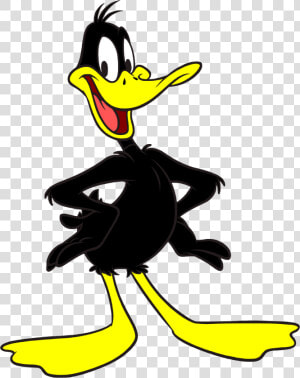 Daffy Duck Png   Daffy Duck  Transparent Png