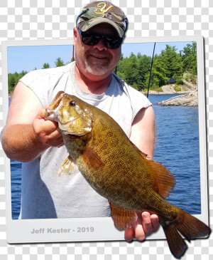 Smallmouth Bass   Pull Fish Out Of Water  HD Png Download