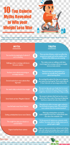 Top 10 Calorie Myths Infographic Plaza   Myths And Truths Infographics  HD Png Download