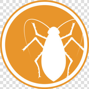 Icon Of A Roach   Pest Icons  HD Png Download