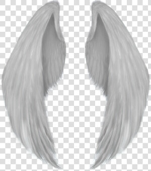 Angel Wing Drawing   Angel Wings Png  Transparent Png