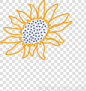 Use The Outline Of The Shape As A Guideline For Drawing   Sunflower Drawing Png  Transparent Png