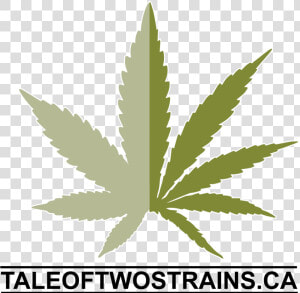 Tale Of Two Strains   Pot Leaf Cartoon Drawing  HD Png Download