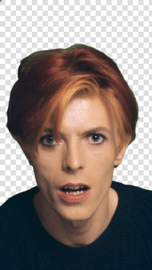 Transparent David Bowie Png   David Bowie  Png Download