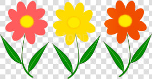 Free Png Flowers Vector Png   Mother  39 s Day Flowers Clipart  Transparent Png