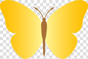 Yellow Cartoon Butterfly Clipart   Yellow Butterfly Cute Cartoon  HD Png Download