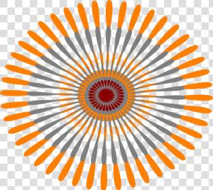 Star Flower Orange Svg Clip Arts   25 Seconds Timer  HD Png Download