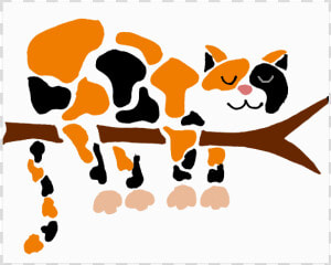 Funny Funky Calico Cat In Tree Poster 20 X16  HD Png Download