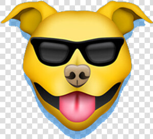 Pitbull Emoji Messages Sticker 7   Pitbull Emoji Png  Transparent Png