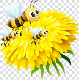 Honey Bee On Flower   Bee And Flower Png  Transparent Png