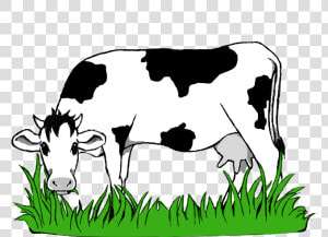 Black And White Stock Collection Of Grazing High Quality   Cow Eating Grass Png  Transparent Png