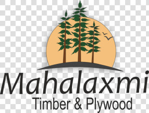 Mahalaxmi Timber And Plywood   Red Pine  HD Png Download