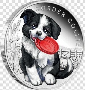 Transparent Border Collie Png   臺 銀 寵物  Png Download