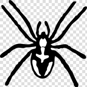 Itsy Bitsy Spider Free   Spider Clipart Black And White  HD Png Download