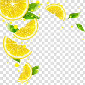 Pin By Pngsector On Lemon Transparent Png Image  amp  Lemon   Transparent Background Lemon Slice Png  Png Download