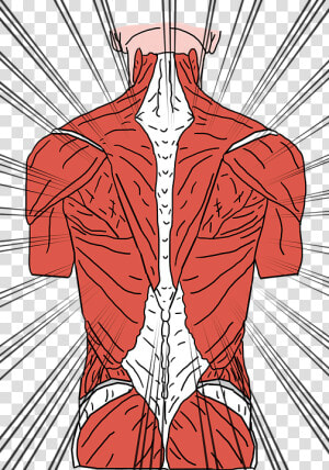 Back Pain  Backache  Back Ache  Backpain  Cramp  Spine   Back Muscles  HD Png Download