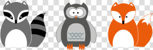 Raccoon Owl Red Fox Bird   Fox And Raccoon Cartoon  HD Png Download