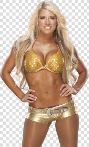 Transparent Kelly Kelly Png   Wwe Kelly Kelly Png  Png Download