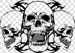 Three Headed Skull T   Skull Vector Png  Transparent Png