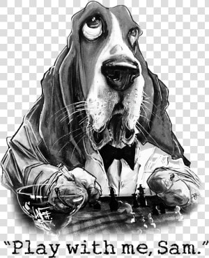 Basset Hound  HD Png Download