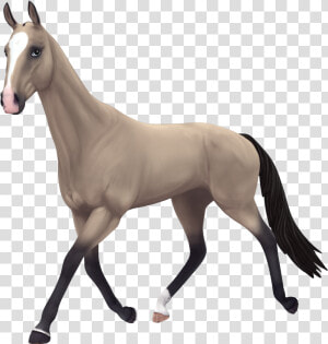 Star Stable Akhal Teke Buttermilk Buckskin  HD Png Download