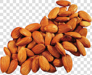 Apricot Kernel Almond Oil Food   Almonds Png  Transparent Png