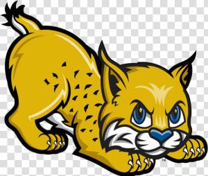 Uc Merced Golden Bobcats Men S Basketball Clip Art   Bobcat Clipart  HD Png Download