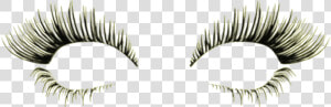 Lashes  Diva Slimming And Aesthetics   Eyelash Extensions  HD Png Download