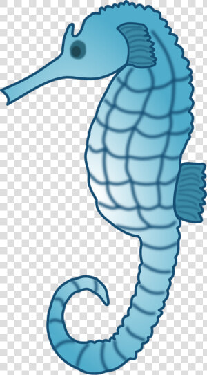 Seahorse Free To Use Cliparts   Seahorses Clip Art  HD Png Download