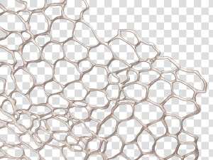 Sea Lace Placemat In Gunmetal   Chilewich Tischset Sea Lace  HD Png Download