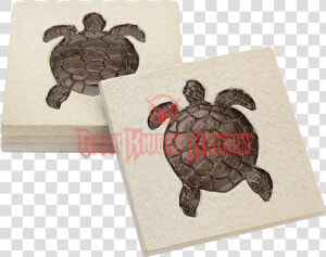 Common Snapping Turtle  HD Png Download