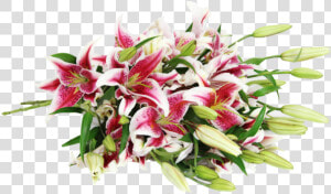 Stargazer Lily Bouquet Png  Transparent Png