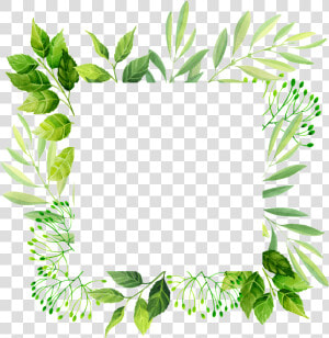 Leaf plant herb line Art flower clip Art   Free Frame Template Leaves  HD Png Download