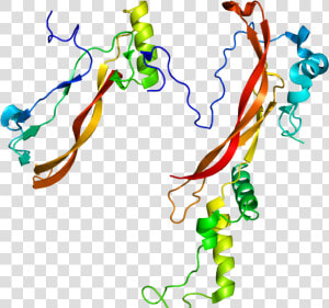 Protein Nog Pdb 1m4u   Proteina Nogina  HD Png Download