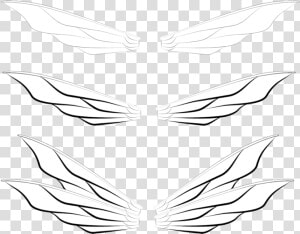 Transparent Realistic Fairy Wings Png   Line Art  Png Download