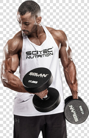 Scitec Nutrition  HD Png Download