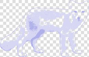 Arctic Wolf Arctic Fox Clipart  HD Png Download