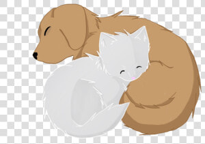 Anima Drawing Sleeping   Cat And A Dog Sleeping Together Drawing  HD Png Download