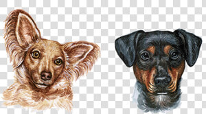 Dog Watercolor Painting   Cabeza De Perro Png  Transparent Png