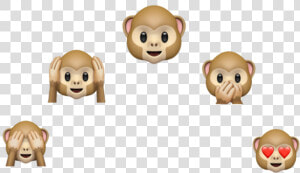 Transparent Macaco Png   Emoji Macaco  Png Download