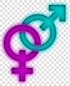 Female  Male  Interlinked  Symbol   Male Female Symbol Png  Transparent Png