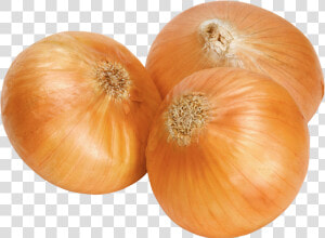 Calabaza White Onion Clip Art   Onion Png  Transparent Png