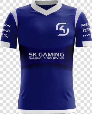 Transparent Sk Gaming Logo Png   Sk Gaming  Png Download