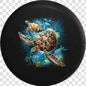 Salt Water Sea Turtle Family Swimming In The Ocean   Camisetas De Tortugas Marinas  HD Png Download