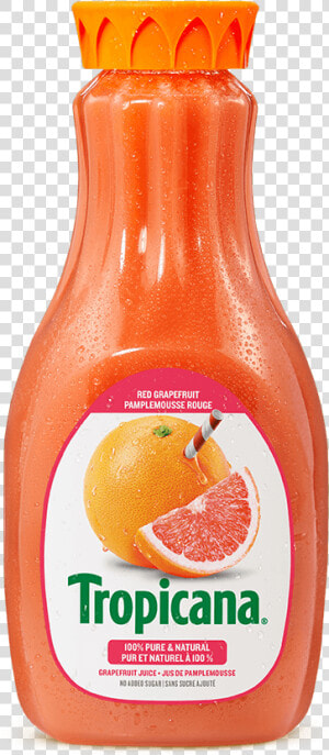 Tropicana® 100   Pure Red Grapefruit Juice   Tropicana Products  HD Png Download