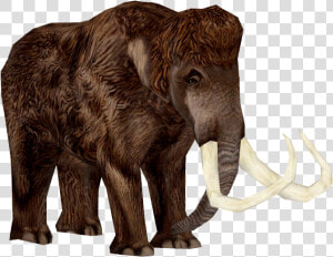 Woolly Mammoth Adult   Mammoth Transparent  HD Png Download